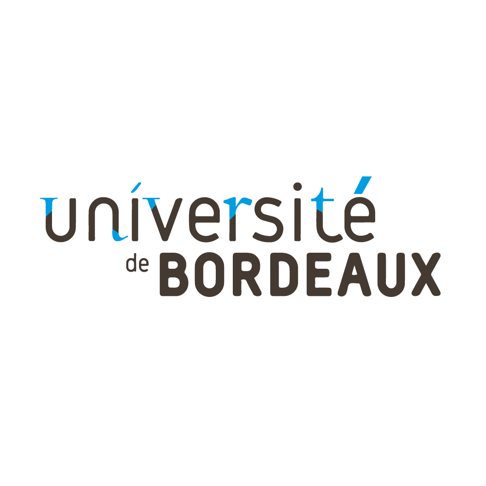 Projet NUMEDISS : les enjeux politiques et la question des usages et des non-usages des nouvelles technologies : approche socio-anthropologique d'un territoire essonnien